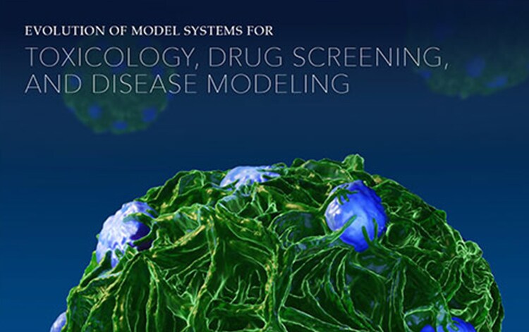 Evolution of Cell Culture Model Systems