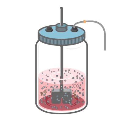 Expansion, activation, and differentiation are key steps. Treat your T cells, NK cells, MSC, or iPSC with premium GMP proteins, small molecules, and media.