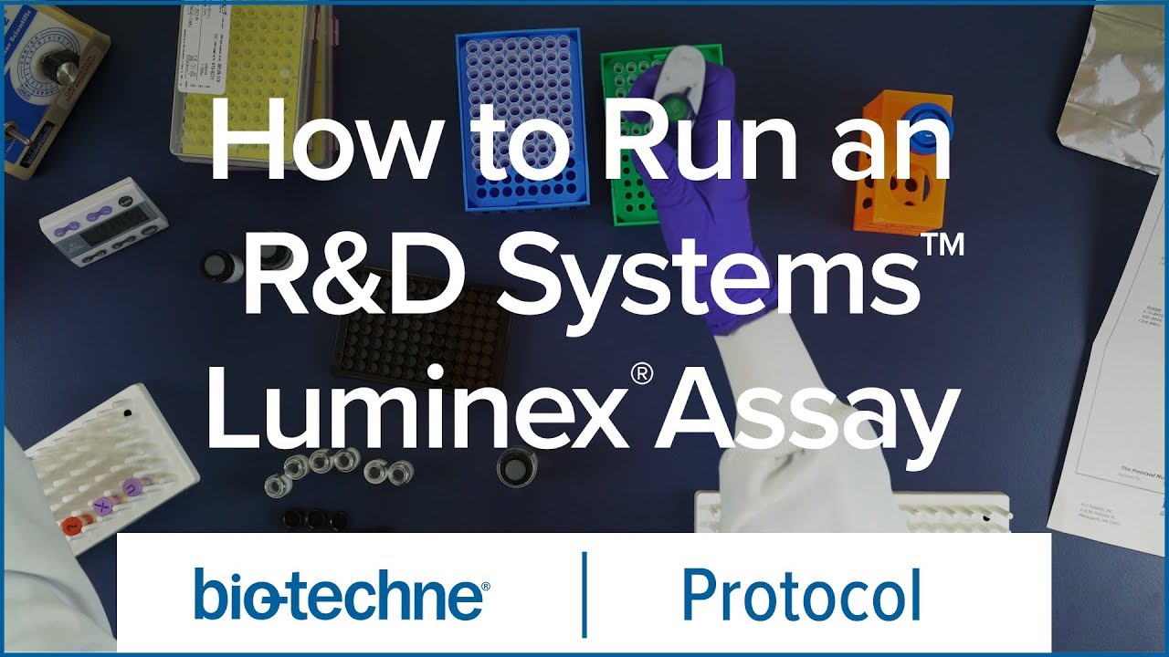 How to run a Luminex Assay