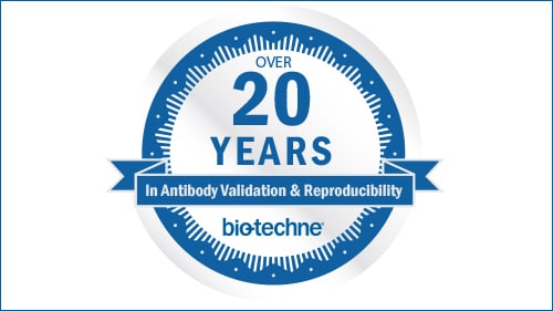 Lessons from 20 Years in Antibody Validation and Reproducibility