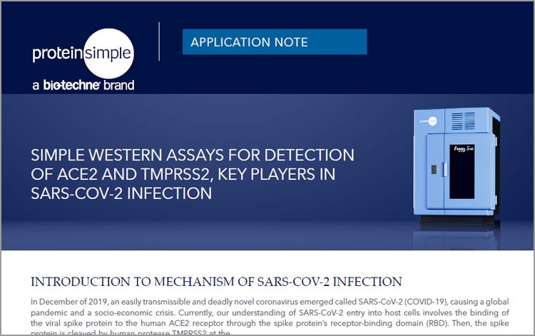 App Note: Detect ACE2 and TMPRSS2 with Simple Western