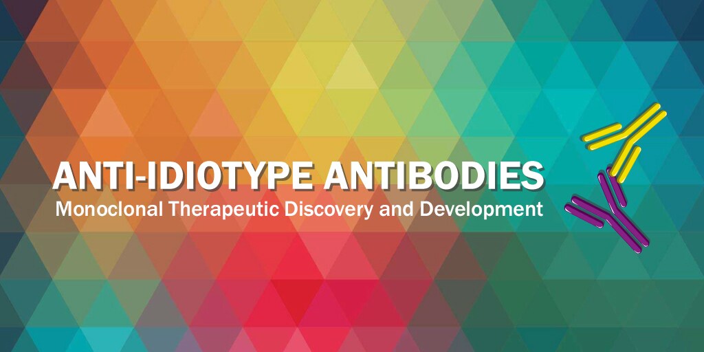 Anti-Idiotype Antibodies