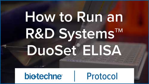 How to Run an R&D Systems DuoSet ELISA