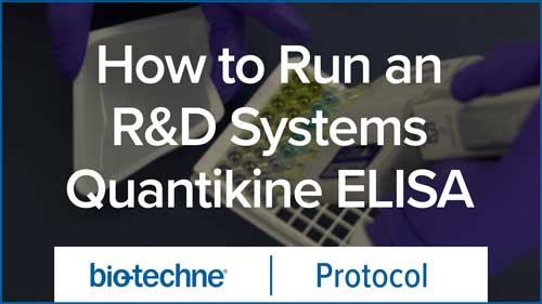 How to Run an R&D Systems Quantikine ELISA