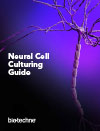 Neural Cell Culturing Guide