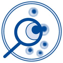 Bioprocessing Enzymes