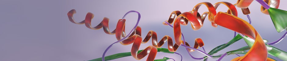 Proteins ribbon diagrams