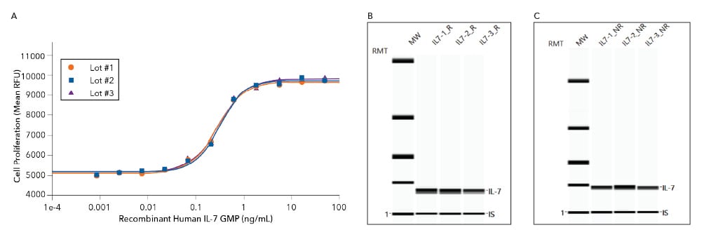 Analysis of the activity, lot-to-lot consistency and purity of R&D Systems GMP-grade Recombinant Human IL-7 protein