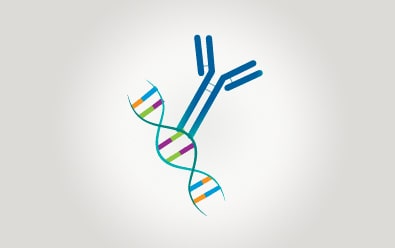 Custom Antibody Services