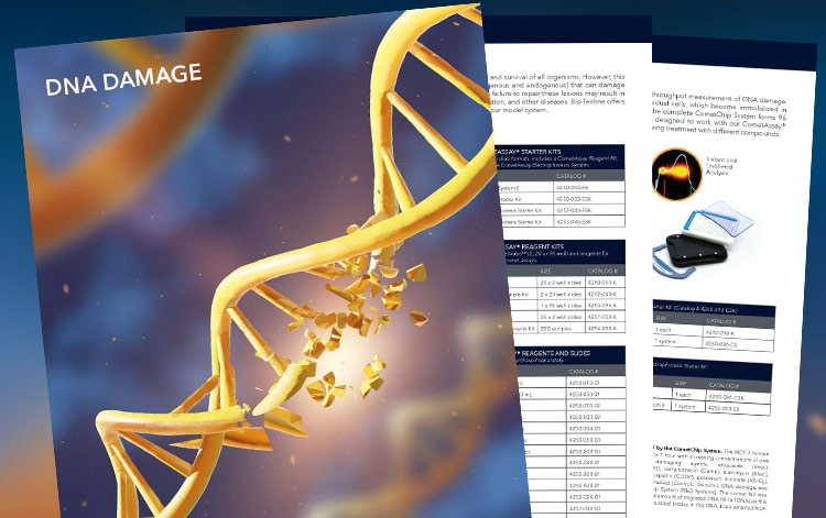 DNA Damage Brochure