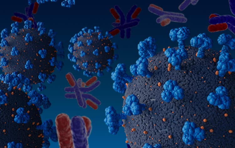 R&D Systems antibodies for SARS-CoV-2 and COVID-19 research.