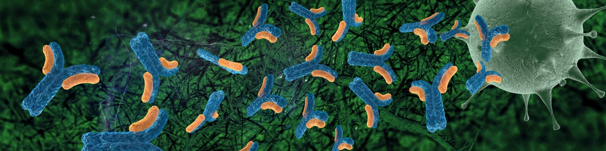 Primary antibodies, secondary antibodies and isotype controls