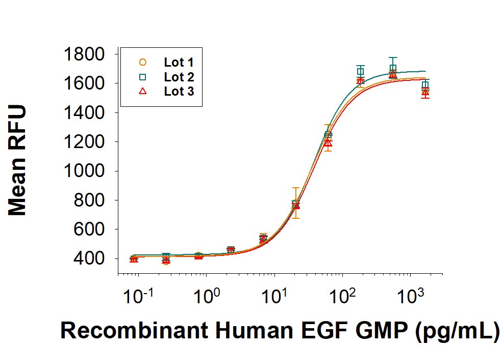 Recombinant Human EGF GMP Protein Bioactivity