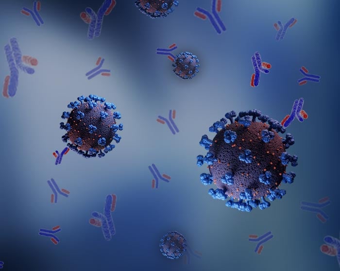 Antibodies binding to SARS-CoV-2 spike proteins