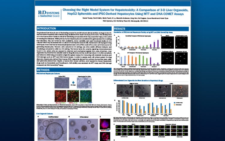 Measuring DNA damage with single cell gel electrophoresis