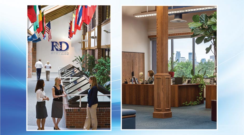 R&D Systems Flag Alley and Minneapolis Skyline