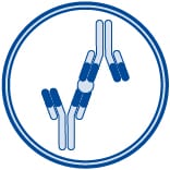 Matched Pair Antibodies