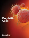 Dendritic Cells