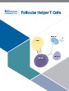 Follicular Helper T Cells