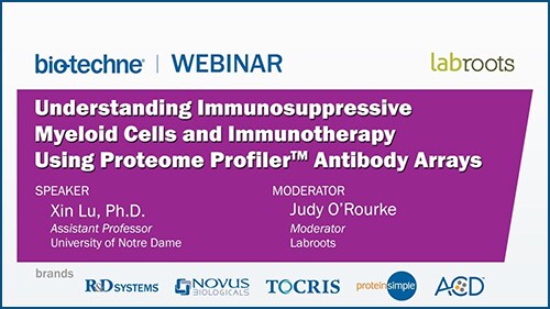 Antibody Arrays in Cancer Research