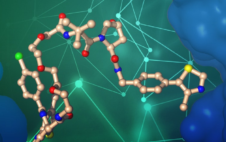 Targeted Protein Degradation Guide