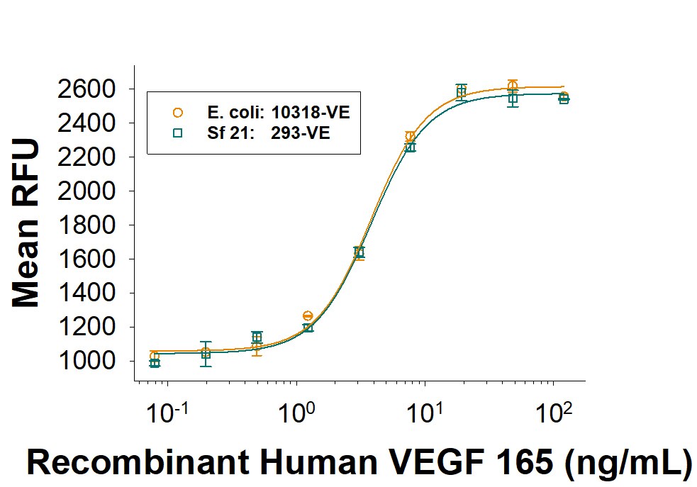 Recombinant Human VEGF 165 (E. coli-expressed) Protein Bioactivity