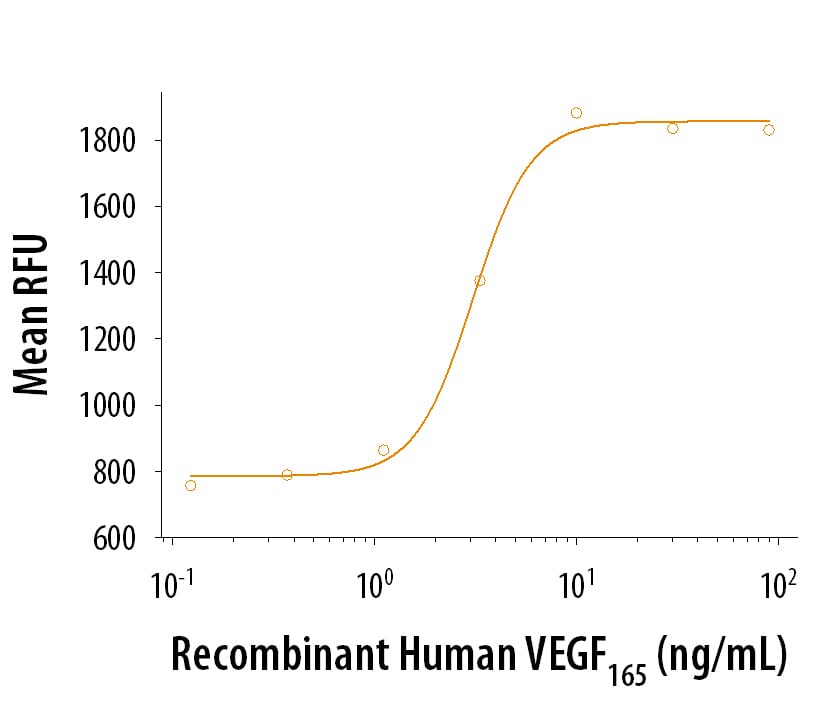 Recombinant Human VEGF 165 Protein Bioactivity