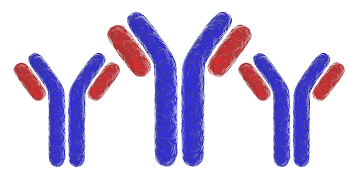 Good Manufacturing Practice (GMP) Antibody Services