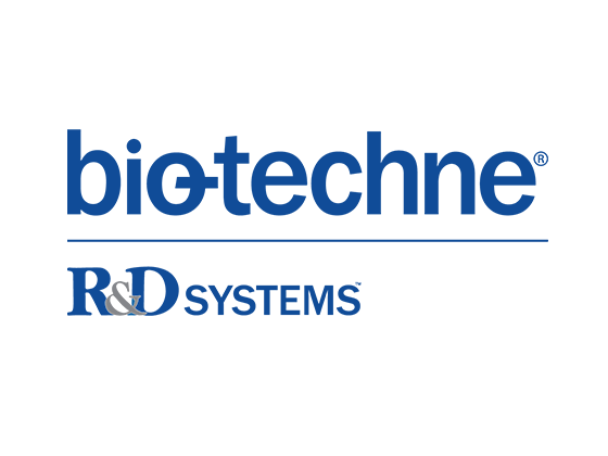 Recombinant Human IL-2 (Cys145Ser) Protein