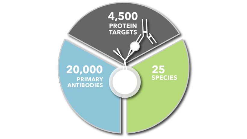 Our custom Luminex services allow you to choose from 4,500 protein targets, 20,000 Proteins, and 25 species.