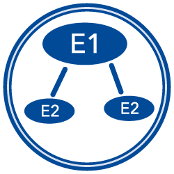 E1 and E2 Enzymes