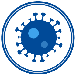 Icon Diagram of Coronavirus virion