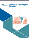 Epithelial to Mesenchymal Transition