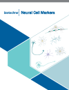 Neural Cell Markers