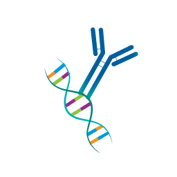 dna and antibody