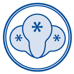 Icon Diagram of Spike Variant